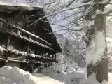 Run of House