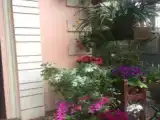 Run of House