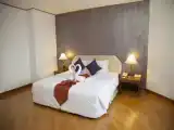 Номер Premier