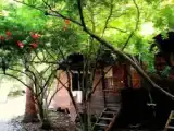 Двухместный номер Эконом с видом на сад