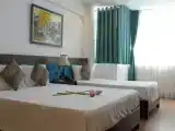 Двухместный номер Deluxe с видом на город
