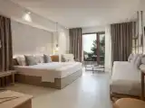 Полулюкс с видом на сад