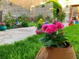 Четырёхместный номер Traditional