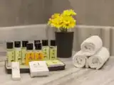 Одноместный номер Deluxe с видом на сад
