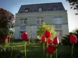 Run of House