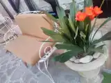 Номер Стандарт