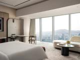 Двухместный номер Windowside Bathtub Skyline с видом на город