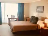 Люкс Executive с частичным видом