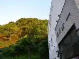 Кровать в общем номере