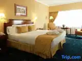 Одноместный люкс Executive