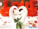 Номер Стандарт