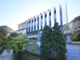 Кровать в общем номере
