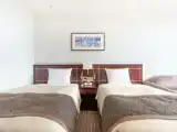 Двухместный номер Deluxe с балконом