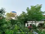 Семейный люкс с видом на сад