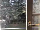 Одноместный номер Стандарт с видом на сад