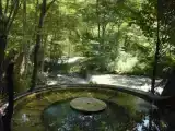 Номер Эконом