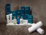 Двухместный люкс