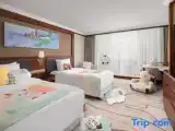 Номер Стандарт