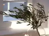 Одноместный люкс