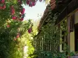 Run of House