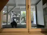 Двухместный номер Стандарт Цокольный этаж