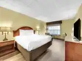 Номер Pet Friendly