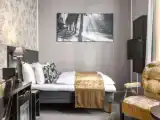 Одноместный номер Superior