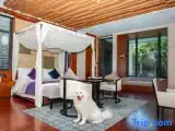 Вилла Deluxe