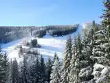 Двухместный семейный номер Стандарт с балконом
