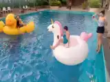 Run of House