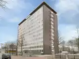 Run of House