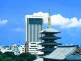 Двухместный номер Skytree View Superior