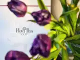 Апартаменты