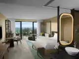 Номер Premium