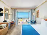 Двухместный номер Executive Marina View