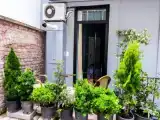 Run of House
