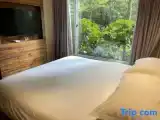Номер Executive