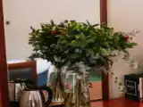 Люкс Deluxe