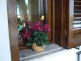 Одноместный номер Стандарт