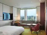 Двухместный номер with tower view