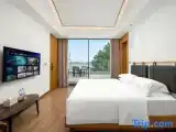 Номер Premier