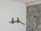 Двухместный номер Deluxe с балконом