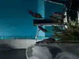 Полулюкс