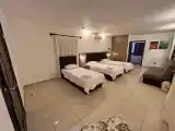 Номер Стандарт