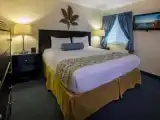 Люкс с 2 комнатами