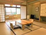 Номер Japanese-Style Superior