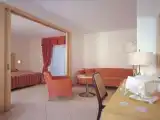 Полулюкс с балконом и с видом на сад