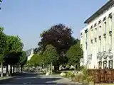Run of House