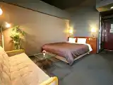 Двухместный номер Deluxe