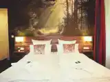 Двухместный номер Комфорт с видом на горы